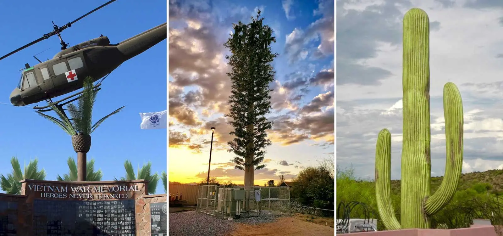 Tall pine tree cell tower seamlessly blended into natural forest environment, demonstrating Cell Trees' concealment technology