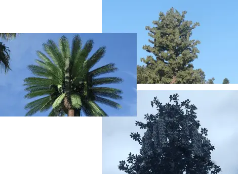 Display of various antenna cover samples showing pine, palm, broadleaf, and eucalyptus styles in different colors and textures for cell tower concealment